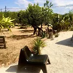 La Badessa *